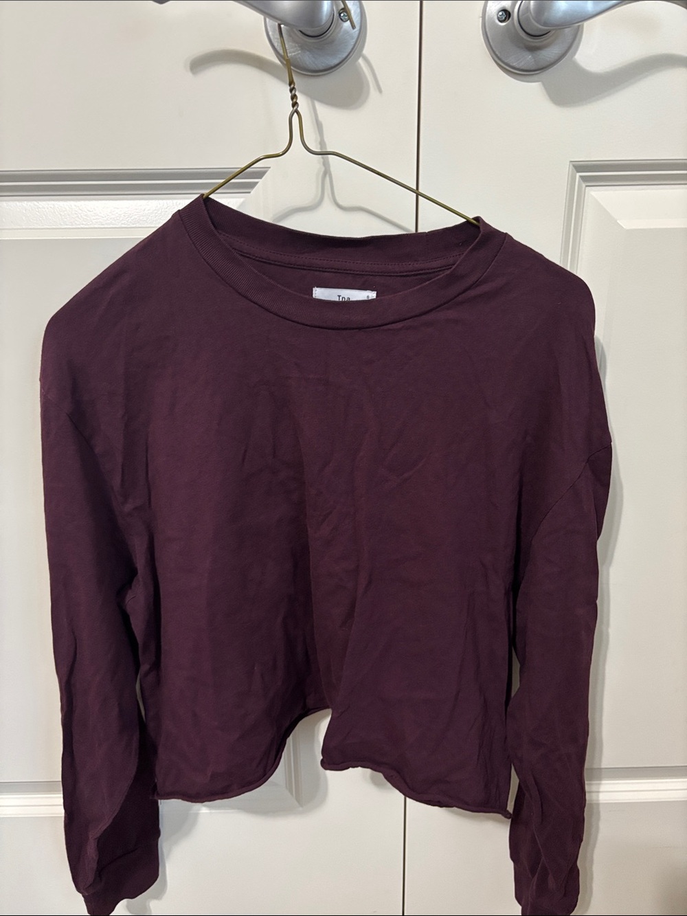 Aritzia TNA Burgundy Cropped Long Sleeve Shirt